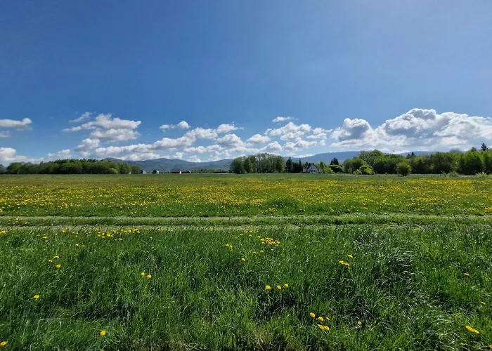 Dom Z Widokiem Na Snieznik